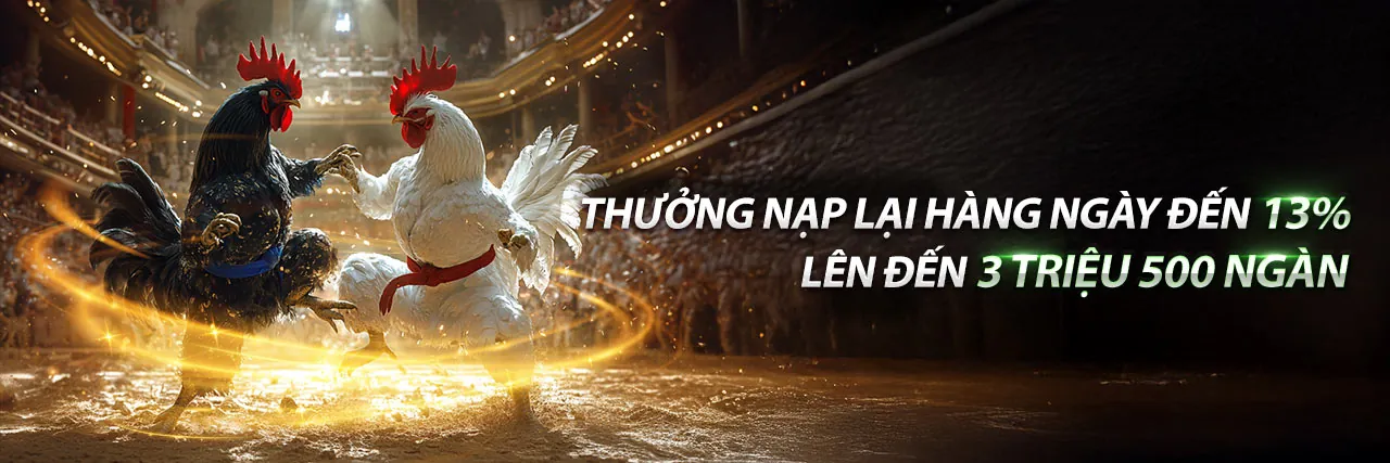 Hình ảnh cá cược thể thao sôi động tại Hay88